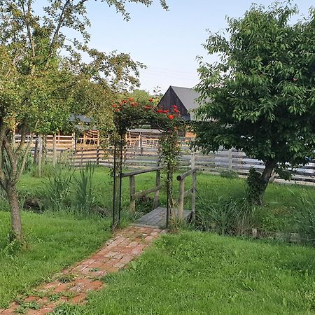 Hostal U Durkovych Zabokreky Nad Nitrou Exterior foto